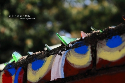 20100306_彩繪眷村