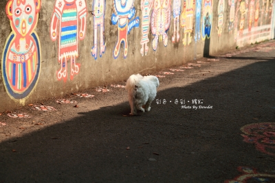 20100306_彩繪眷村